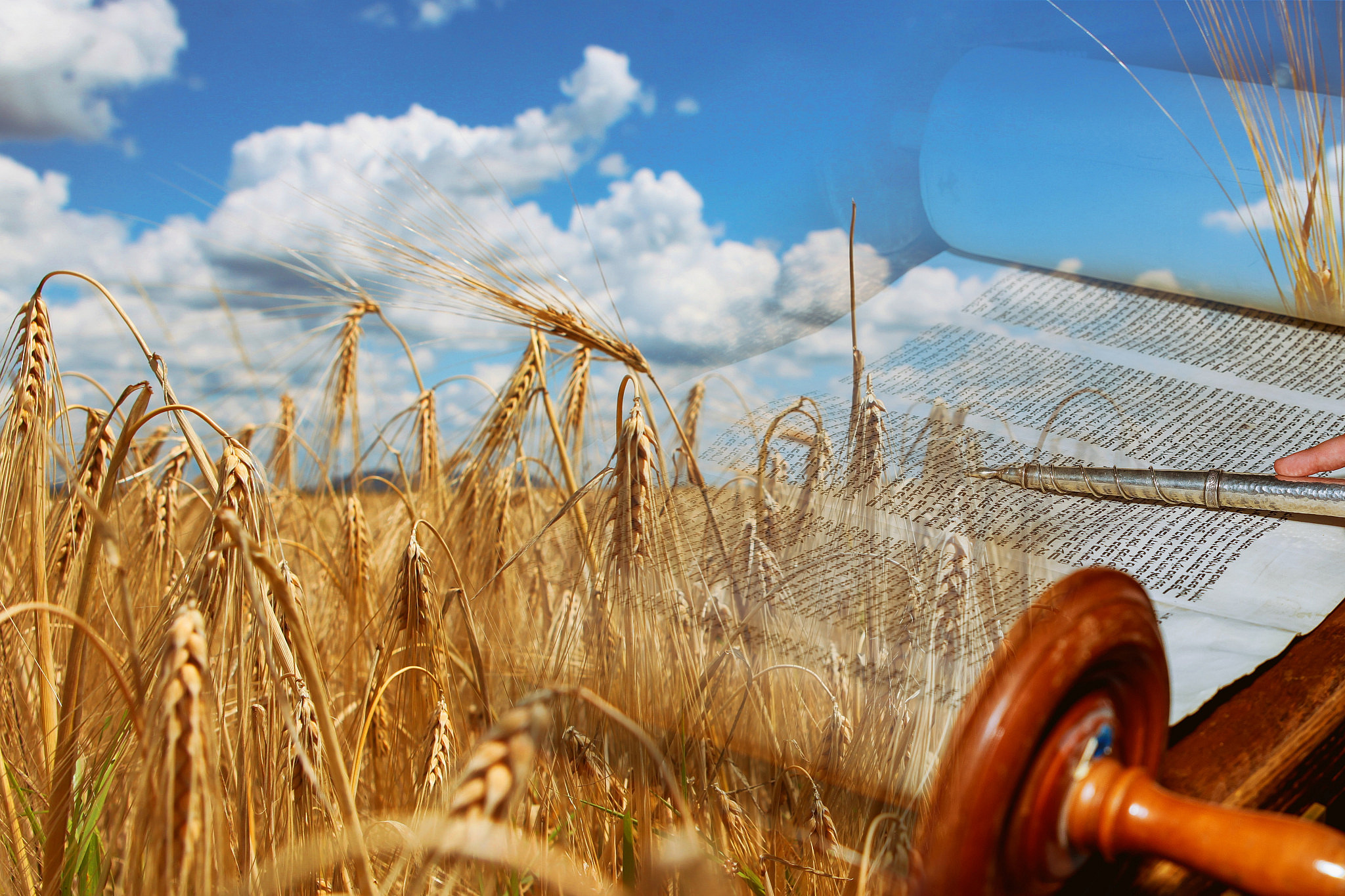 How Shavuot Became the Festival of the Giving of the Torah