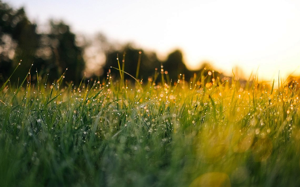 Jonas Weckschmied/Unsplash