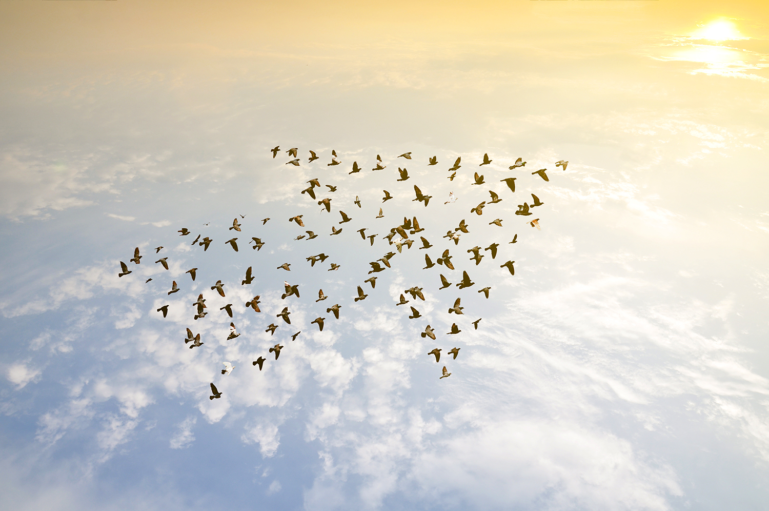 ©Love the wind/stock.adobe.com ©Love the wind/stock.adobe.com
