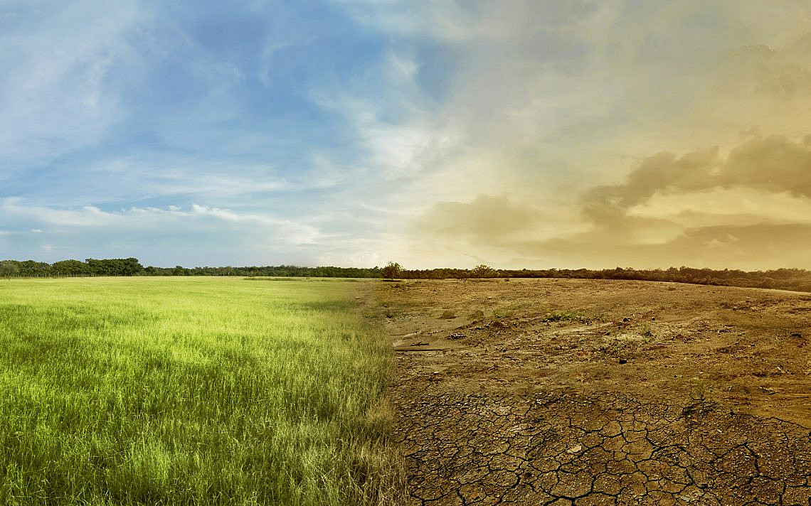 ©Leo Lintang/stock.adobe.com