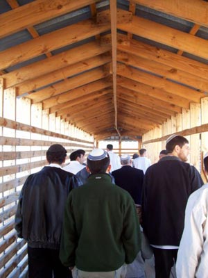 כניסת יהודים אל הר הבית דרך שער המוגרבים צילום: יעקב שוהם, 2007