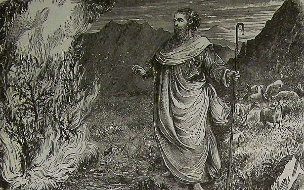 משה מביט בסנה הבוער. תנ"ך הולמן, 1890. ויקיפדיה