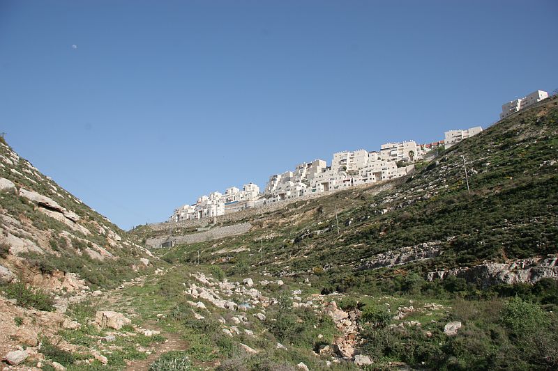 גבעת זאב, מבט מהוואדי גבעת זאב, מבט מהוואדי