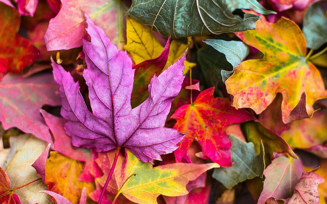 Photo by Jeremy Thomas on Unsplash