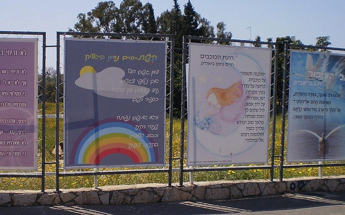 איך לומדים ספרות? האם הרפורמה בהוראת מדעי הרוח בישראל היא המשך חזונו של ביאליק? צילום: דוד שי